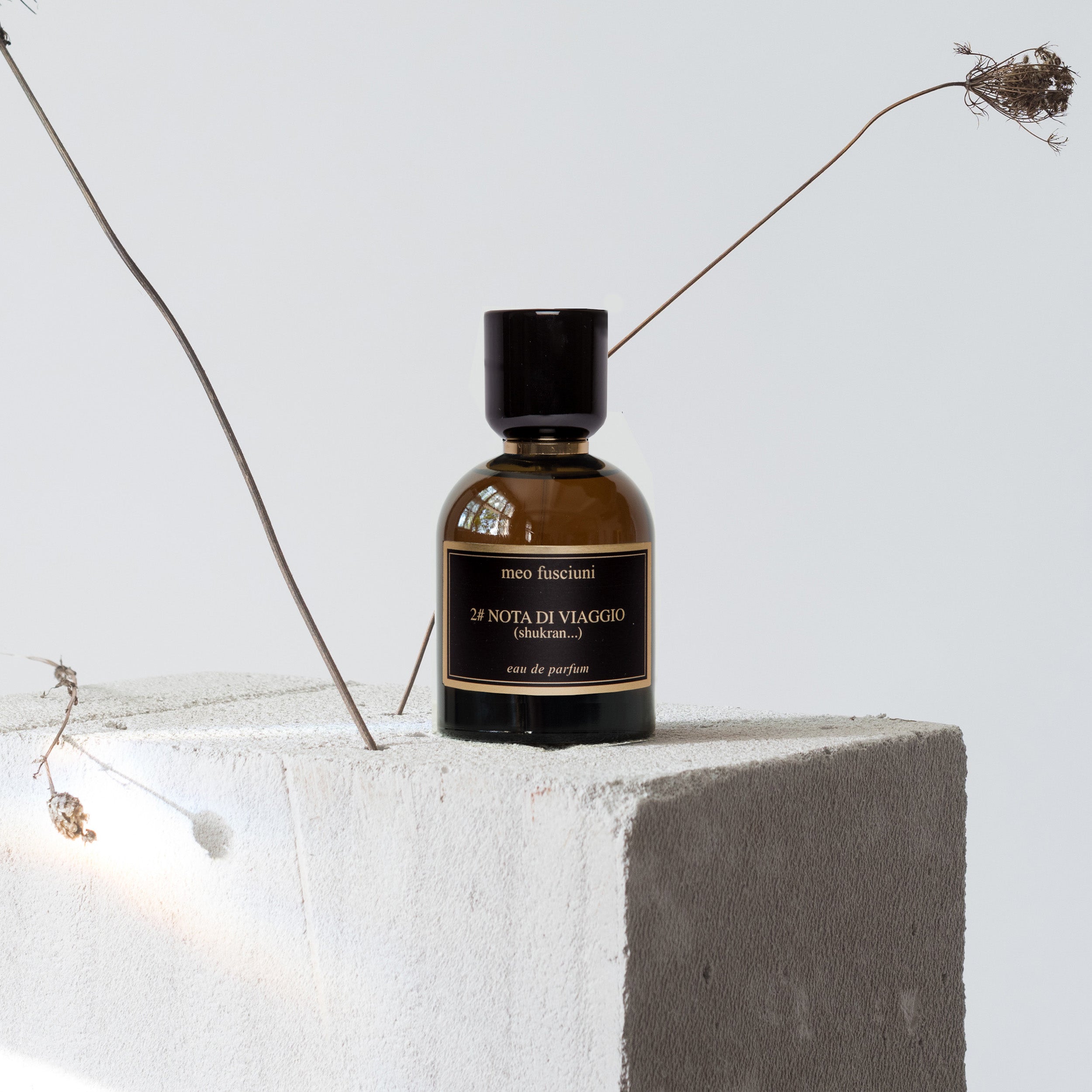 Meo Fusciuni: 2# NOTA DI VIAGGIO (Shukran...)