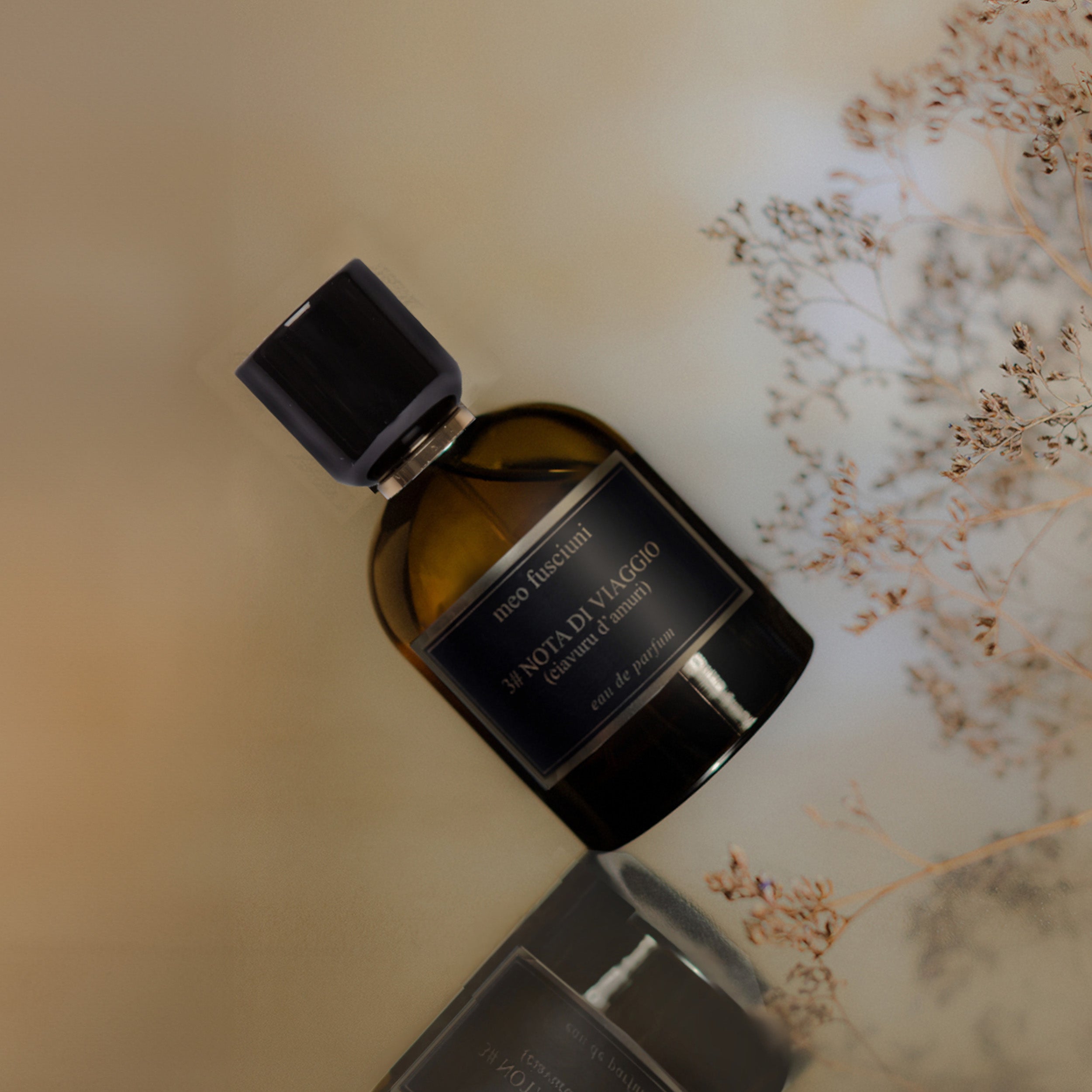 Meo Fusciuni: 3# NOTA DI VIAGGIO