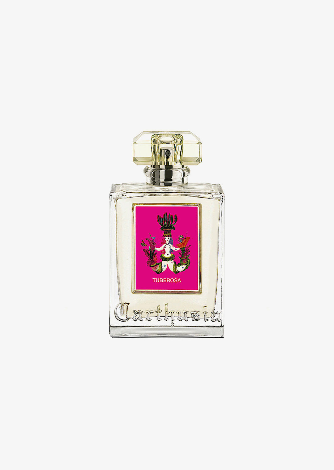 Carthusia: TUBEROSA