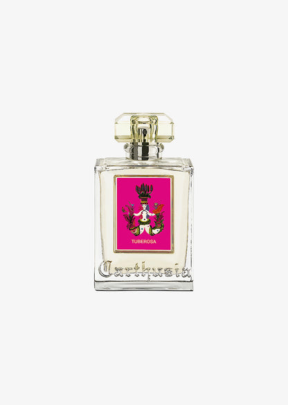 Carthusia: TUBEROSA