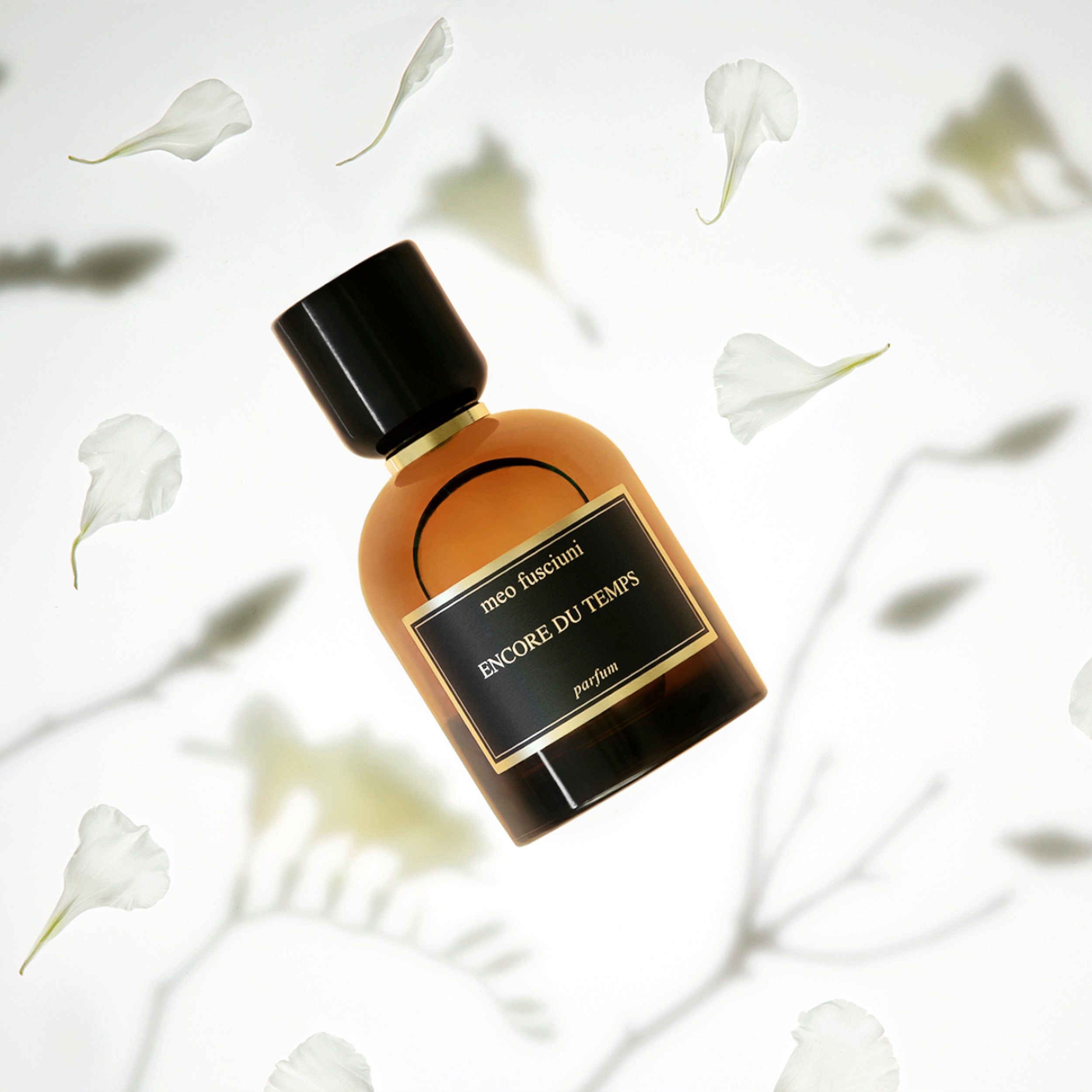 Meo Fusciuni: ENCORE DU TEMPS