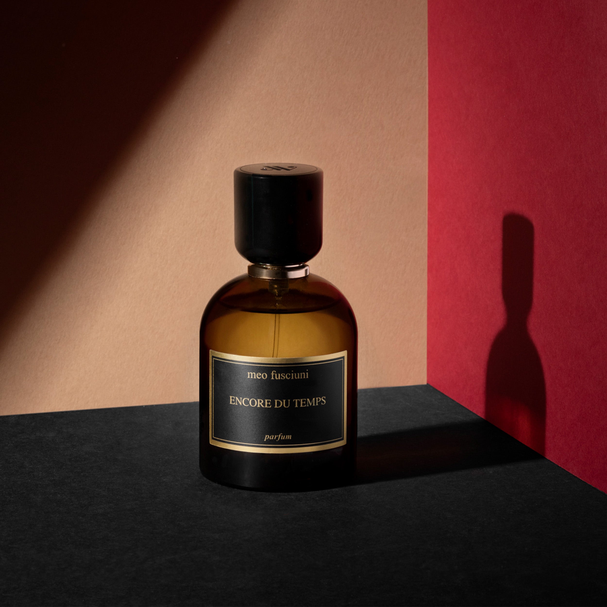 Meo Fusciuni: ENCORE DU TEMPS