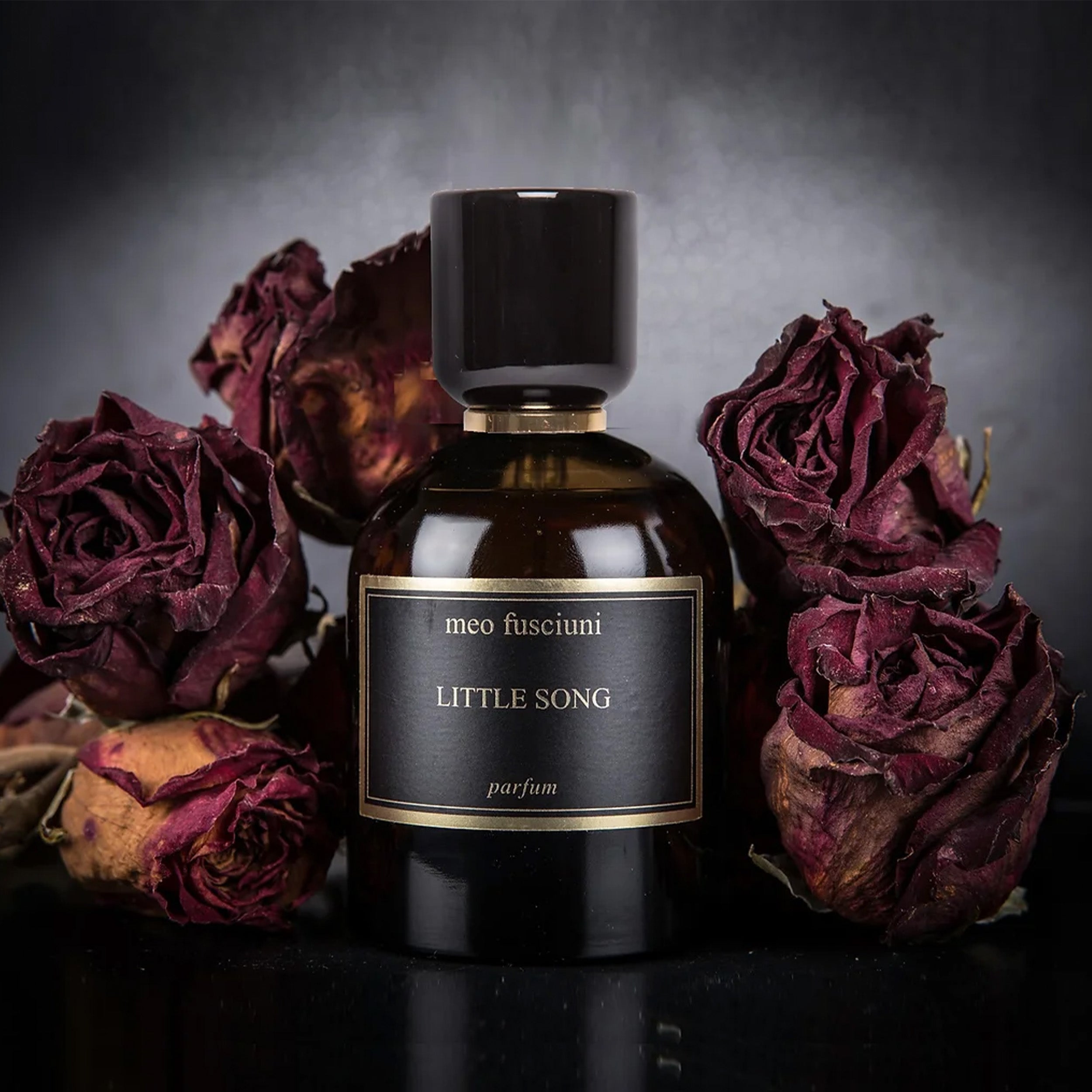 Meo Fusciuni: LITTLE SONG