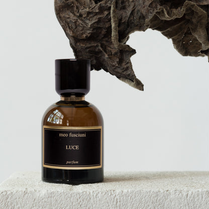 Meo Fusciuni: LUCE