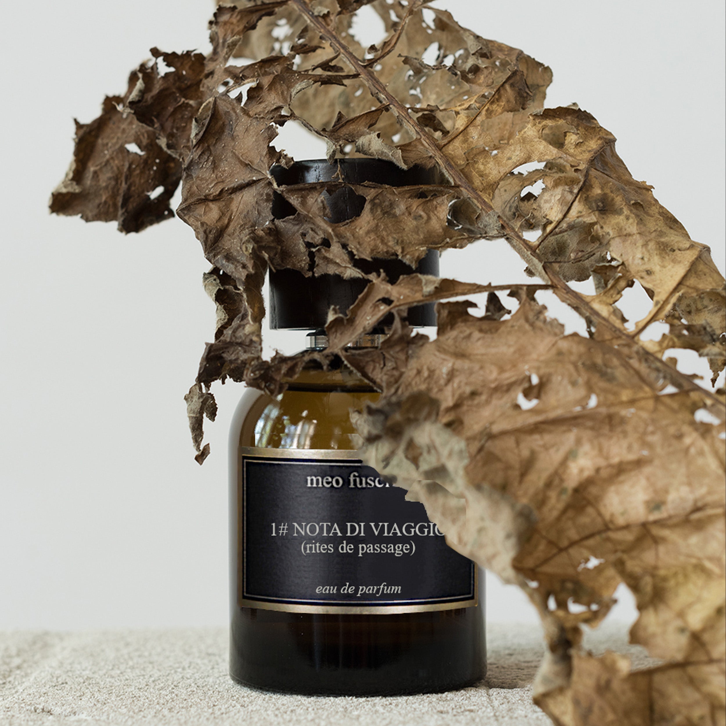 Meo Fusciuni: 1# NOTA DI VIAGGIO (Rites de Passage)