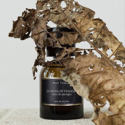 Meo Fusciuni: 1# NOTA DI VIAGGIO (Rites de Passage)