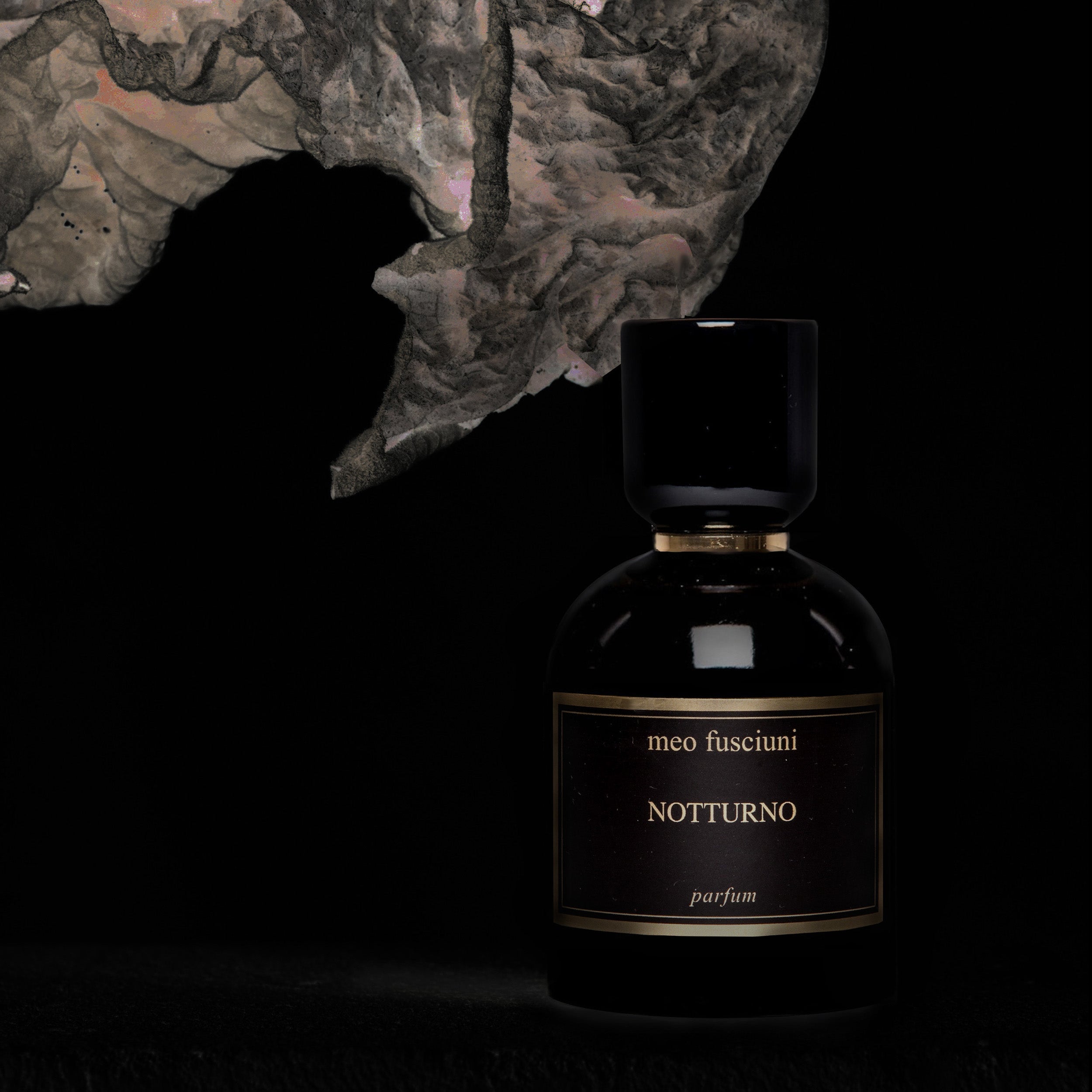 Meo	Fusciuni: NOTTURNO